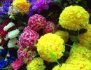 IMG 20241216 WA0004