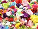 IMG 20241216 WA0005