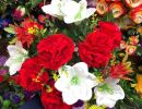 IMG 20241216 WA0007