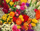 IMG 20241216 WA0009