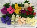 IMG 20241216 WA0010