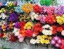 IMG 20241216 WA0011