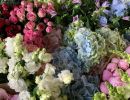 IMG 20241216 WA0014