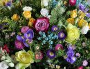 IMG 20241216 WA0015