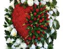 IMG 20241216 WA0019