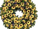 IMG 20241216 WA0031