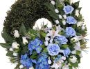 IMG 20241216 WA0034