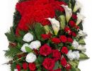 IMG 20241216 WA0035