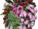 IMG 20241216 WA0037
