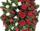 IMG 20241216 WA0038