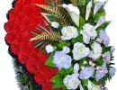 IMG 20241216 WA0048